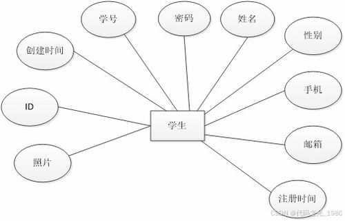 springboot校園資料分享平臺 設計與實現